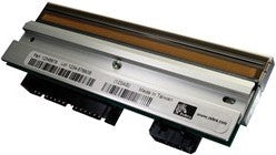 Zebra P1115688